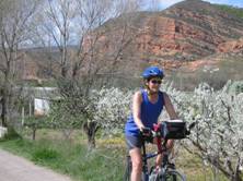 lady_bike
