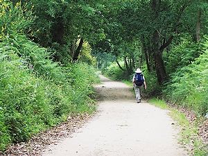 Along the Camino de Santiago