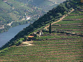 Douro Valley