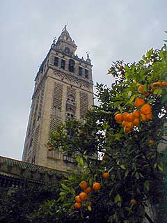 Sevilla - La Giralda