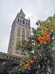 Sevilla in winter